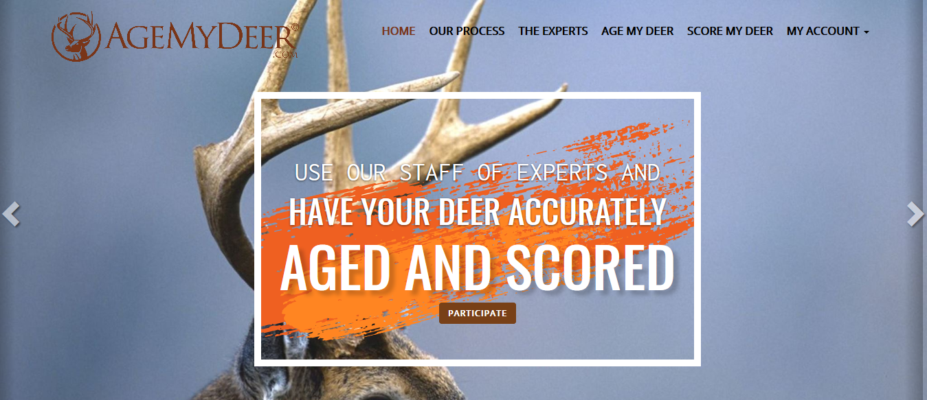 Age My Deer